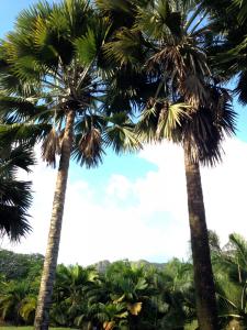 post-3101-0-47398800-1439744844_thumb.jp