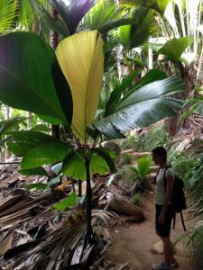 post-3101-0-48564500-1440167485_thumb.jp