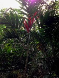 post-3101-0-49058900-1439743939_thumb.jp