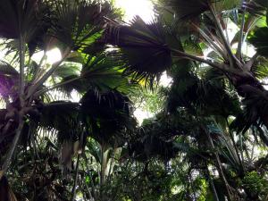 post-3101-0-51365700-1440166677_thumb.jp