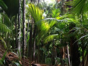 post-3101-0-52015700-1440168762_thumb.jp