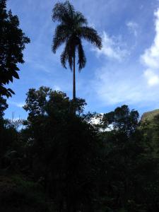 post-3101-0-52748400-1439743659_thumb.jp