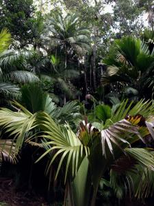 post-3101-0-55370800-1440166111_thumb.jp