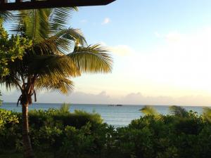 post-3101-0-55451000-1440166015_thumb.jp