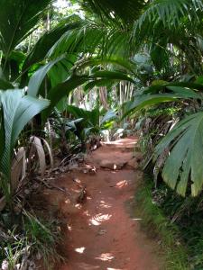 post-3101-0-62990700-1440167123_thumb.jp