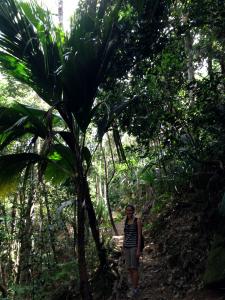 post-3101-0-65158200-1439743996_thumb.jp