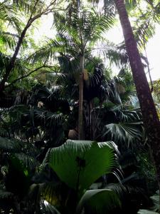 post-3101-0-69044400-1440166652_thumb.jp