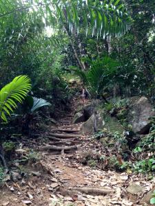 post-3101-0-69443200-1439743778_thumb.jp