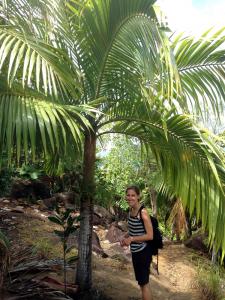 post-3101-0-69704100-1440169105_thumb.jp