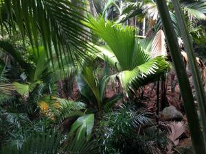 post-3101-0-70373700-1440168090_thumb.jp