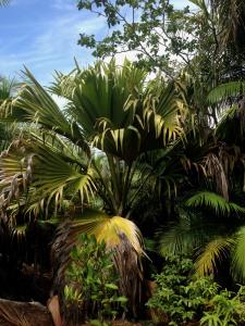 post-3101-0-71763400-1440168807_thumb.jp