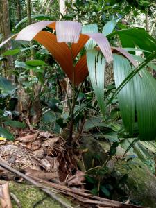 post-3101-0-76835600-1439743901_thumb.jp