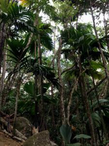 post-3101-0-77808300-1439744343_thumb.jp