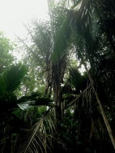 post-3101-0-78720300-1440168260_thumb.jp