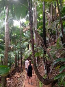 post-3101-0-80299400-1440168045_thumb.jp