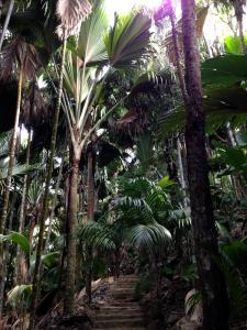 post-3101-0-81109800-1440167069_thumb.jp