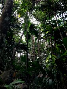 post-3101-0-81449700-1439743884_thumb.jp