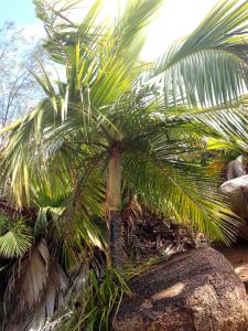 post-3101-0-82397100-1440169079_thumb.jp