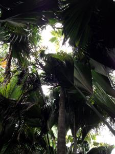 post-3101-0-84333500-1440166882_thumb.jp