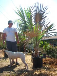 post-3101-0-86577700-1430742999_thumb.jp