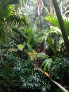 post-3101-0-88890500-1440168139_thumb.jp