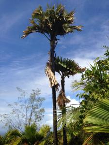 post-3101-0-90676900-1440168886_thumb.jp