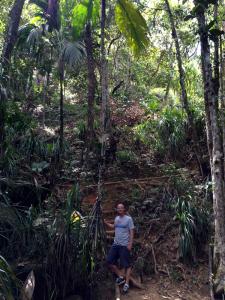 post-3101-0-90904900-1439744045_thumb.jp