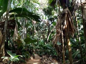 post-3101-0-92400400-1440166586_thumb.jp