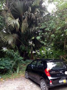 post-3101-0-94084600-1440169463_thumb.jp