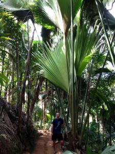 post-3101-0-94131500-1440167238_thumb.jp