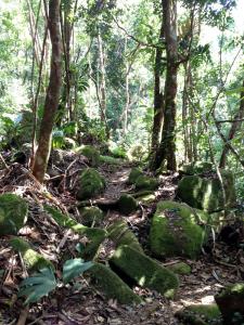 post-3101-0-95535900-1439745406_thumb.jp