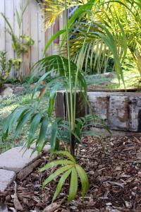 post-3101-026580300 1334770904_thumb.jpg