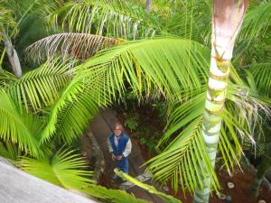 post-3101-035599800 1334770390_thumb.jpg