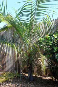 post-3101-038251300 1326843013_thumb.jpg