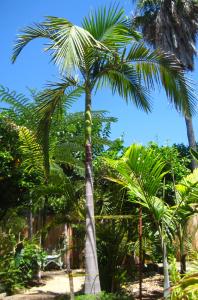 post-3101-058528500 1313553726_thumb.jpg