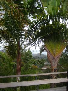 post-3101-077557600 1334770344_thumb.jpg