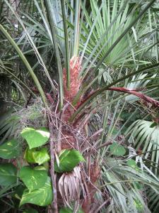 post-3109-0-07006500-1381206630_thumb.jp