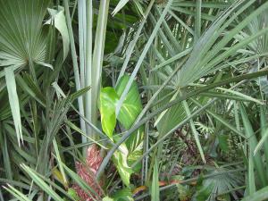 post-3109-0-14487600-1381206392_thumb.jp