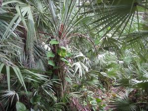 post-3109-0-23432700-1381206595_thumb.jp