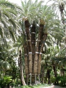 post-3109-0-34043300-1380052779_thumb.jp