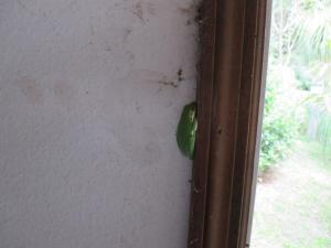 post-3109-0-43373000-1437239282_thumb.jp