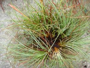 post-3109-0-78026900-1367696247_thumb.jp