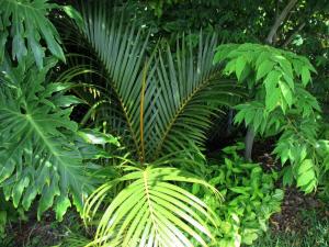 post-3109-0-94499400-1437217090_thumb.jp