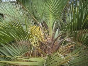 post-3109-005567700 1329753987_thumb.jpg