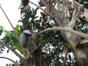 post-3109-034914600 1331488297_thumb.jpg