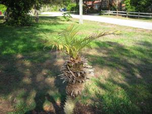 post-3109-041548400 1333203184_thumb.jpg