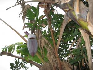 post-3109-046365000 1331488338_thumb.jpg