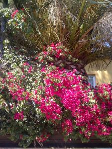 post-3264-0-08744900-1410863540_thumb.jp