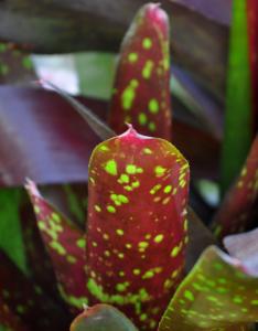 post-3412-0-04595200-1389170754_thumb.jp