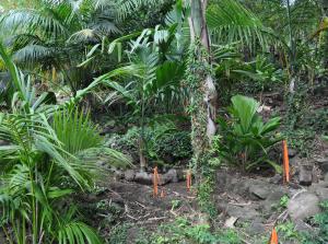 post-3412-0-19085200-1394621790_thumb.jp